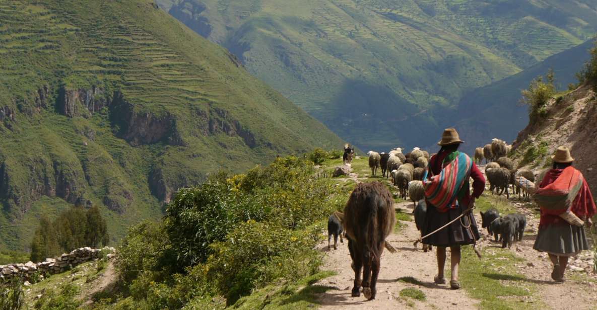 Cusco: Half Day Acclimatization Hike & Hotel Transfers - Cultural Experience