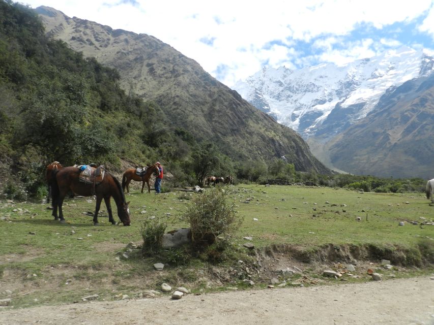 Cusco: Humantay Lake All-inclusive Full-day Tour - Experience Highlights