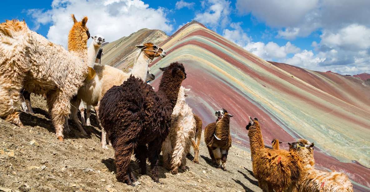 Cusco: Machu Picchu and Rainbow Mountain 5-Days Tour - Flexible Itinerary and Inclusions