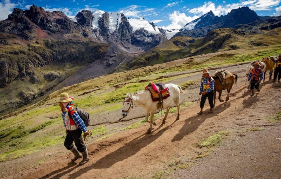 Cusco: Rainbow Mountain - Vinicunca Full Day - Experience Highlights