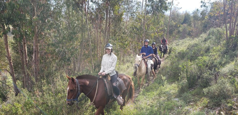 Cusco: Sacsayhuaman Guided Tour and 1-Hour Horseback Ride - Highlights