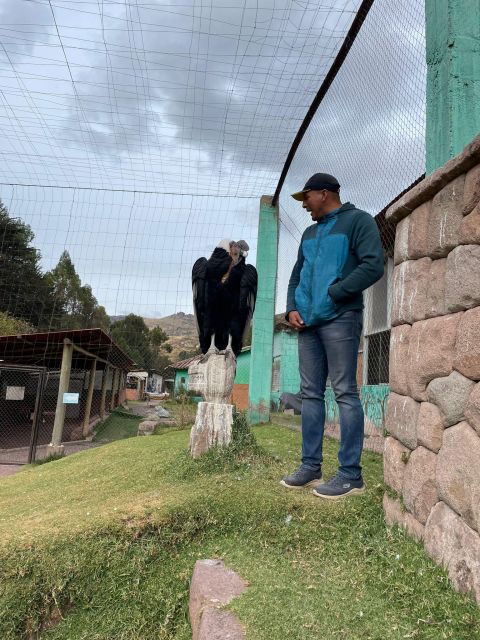 Cusco: Sanctuary of Animals Rescued "Cochahuasi" - Experience Highlights