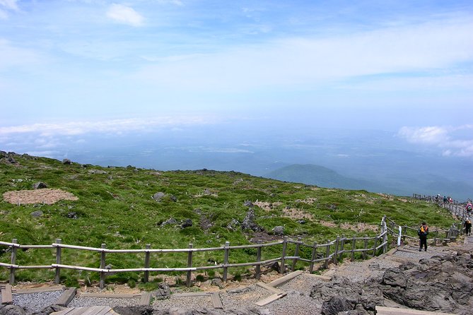 Customized Private JEJU Hiking Tour for 7 Days (Mt. Hallasan and Olle Course) - Pricing Details