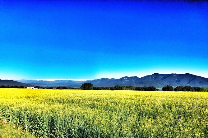 Cycling in the Green Ways and Country Roads of Girona - Discover Charming Country Roads