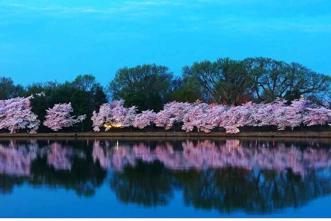 D.C. Cherry Blossoms: Escorted Bus Tour From Toronto - Inclusions and Exclusions