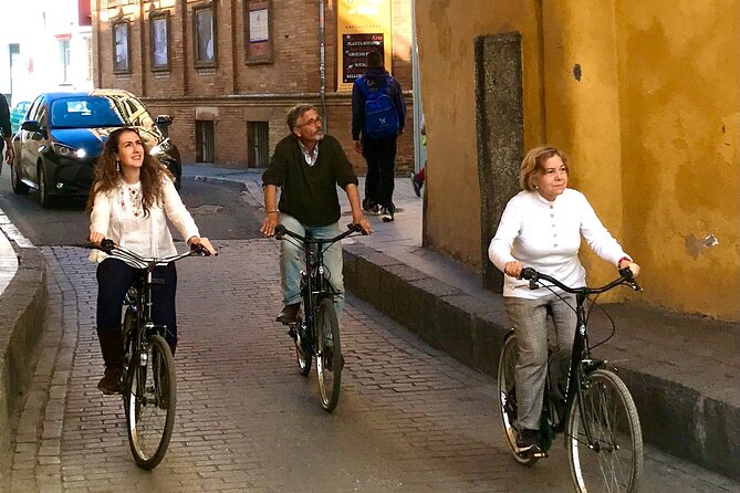 Daily Bike Tour in Seville - Language Options