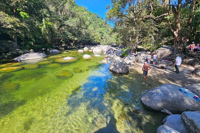 Daintree Rainforest, Mossman Gorge & Beach Day Tour W/Aboriginals - Itinerary Details