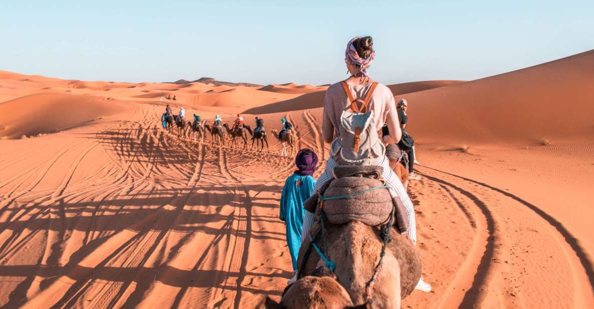 Dakhla Camel Ride - Experience Highlights
