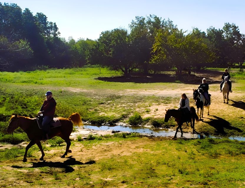 Dallas: Horseback Trail Riding Tour - Experience Highlights