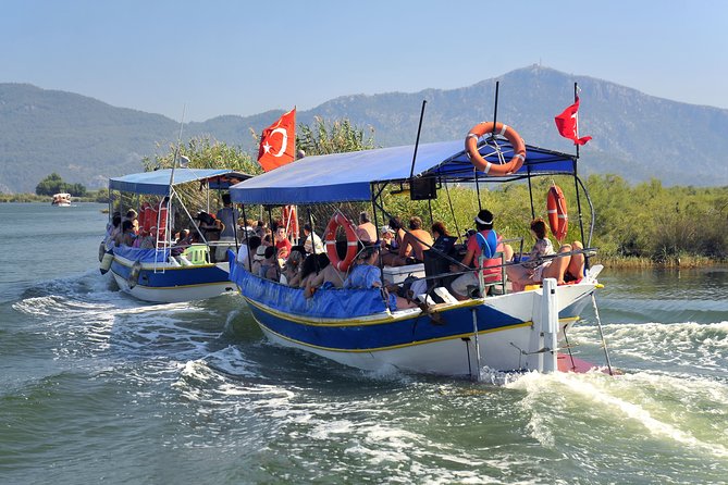 Dalyan Mud Baths and Turtle Beach Day Tour From Fethiye - Customer Reviews and Ratings