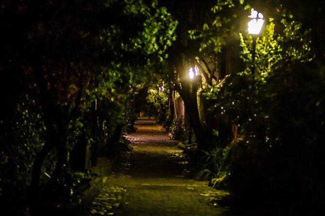 Dark Side of Charleston Guided Night-Time Walking Tour - Engaging Tour Guides