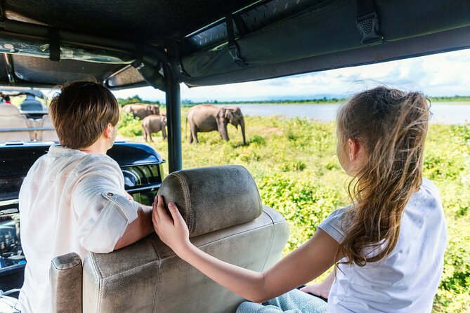 Day Excursion at Udawalawe National Park From Galle - Pick-Up and Departure Details