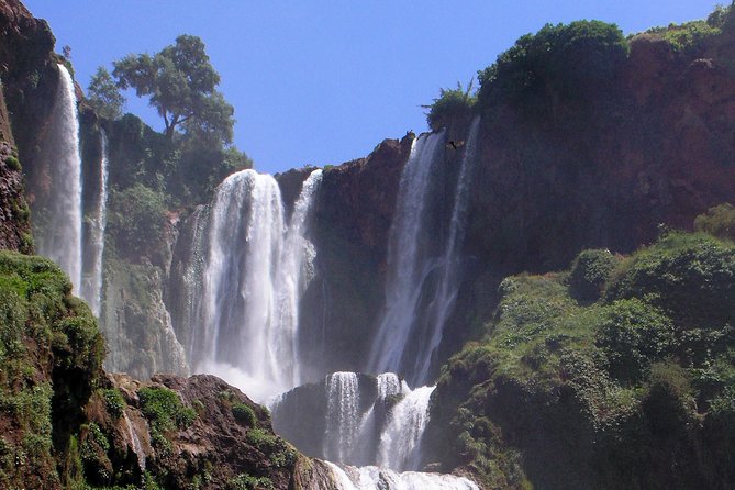 Day Excursion to Ouzoud Waterfall From Marrakech: Private - Customer Reviews