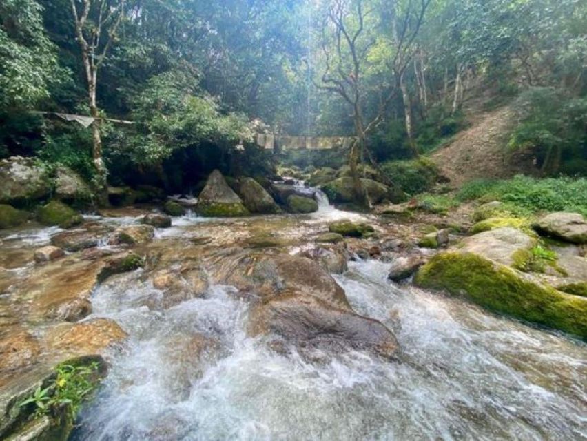 Day Hike to Shivapuri National Park From Kathmandu - Experience Highlights of the Trek