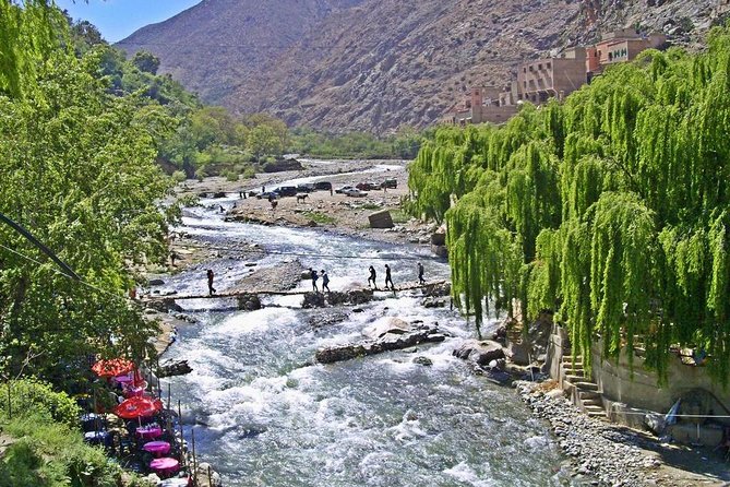 Day in the Atlas Mountains With Camel Ride - Exploring Traveler Photos Benefits