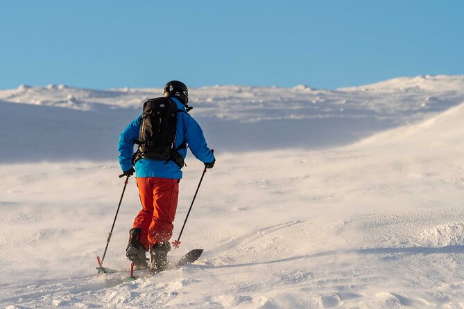 Day in the Tundra - Winter Trek & Smoke Sauna - Cancellation Policy