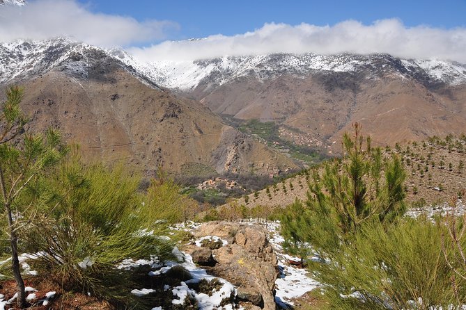 Day Out With a Berber to High Atlas Mountains - End Point and Departure Notification