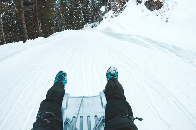 Day Sledding in Interlaken - Safety Guidelines and Precautions