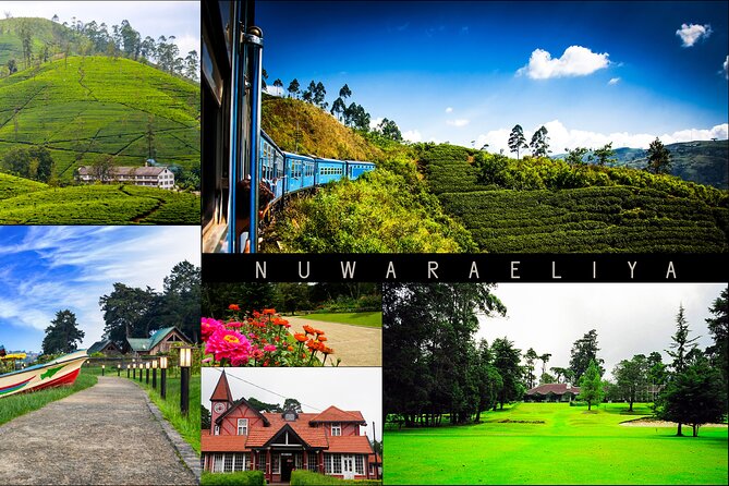 Day Tour to Nuware Eliya (Littel England) From Kandy - Traveler Experience and Reviews