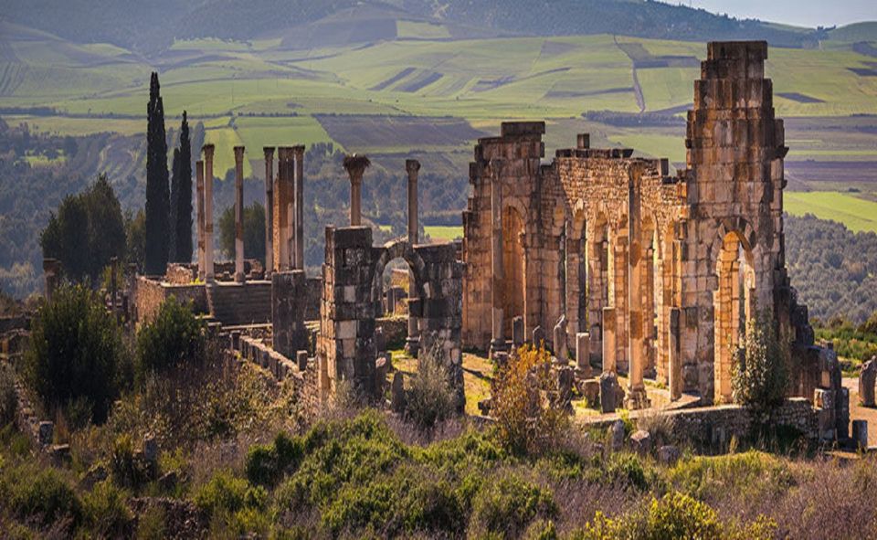 Day Trip From Fes to : Meknes, Volubilis and Moulay Idriss - Booking Details