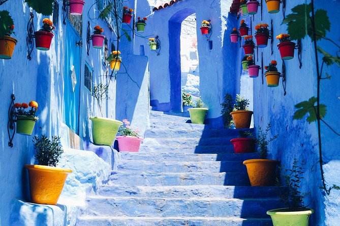 Day Trip From Fez to Chefchaouen - Group Tour - Logistics