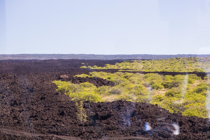 Day Trip From Oahu to Hilo: Active Volcanoes - Itinerary and Highlights