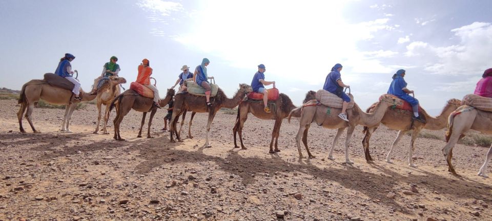 Day Trip To Agafay Desert and Atlas Mountains - Inclusions and Services Provided