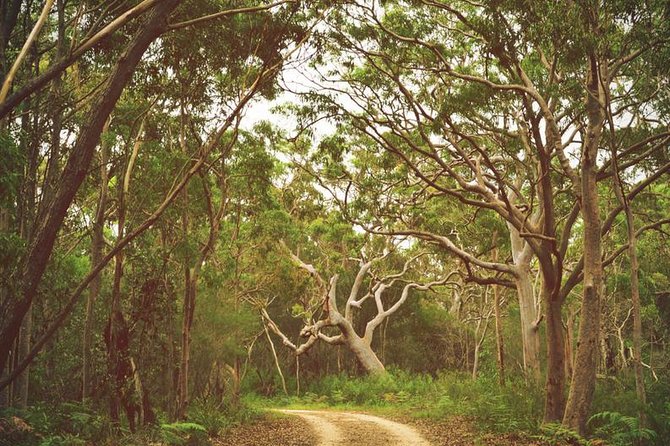 Day Trip To Cronulla & The Royal National Park - Meeting Details