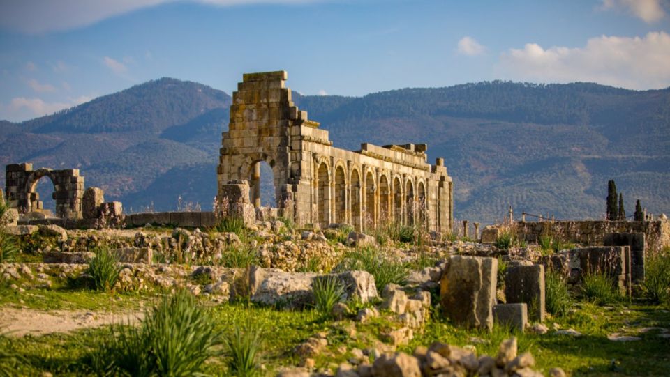Day Trip to Meknes ,Volubilis , Moulay Idris - Experience Highlights in Meknes