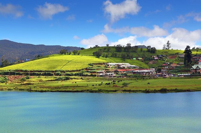 Day Trip to Nuwara Eliya With Kingfisher Tours - Experience Overview