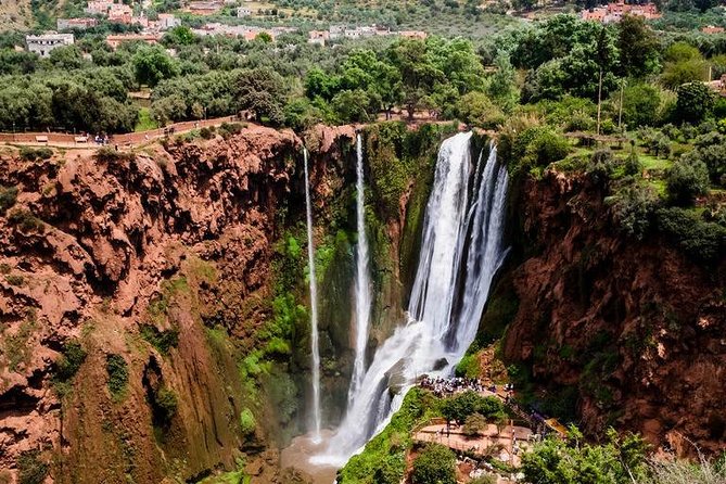 Day Trip to Ouzoud Waterfalls From Marrakech - Tour Highlights