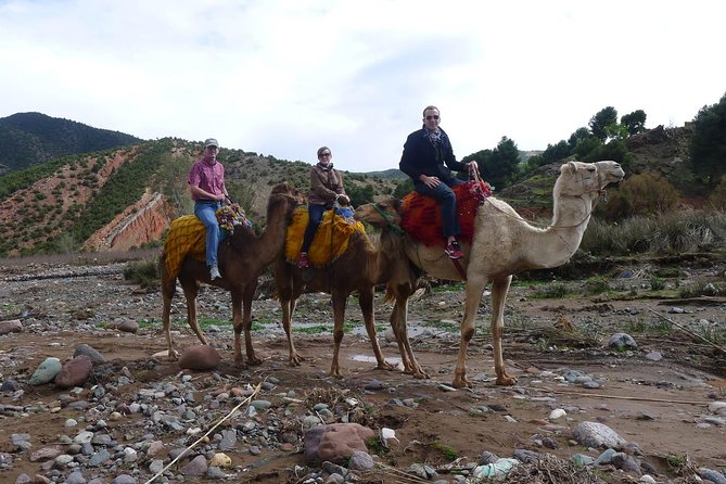 Day Trip to the Atlas Mountains and Berber Villages From Marrakech, - What to Expect