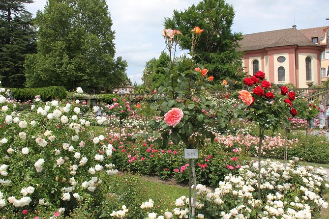 Day Trip to the Island of Mainau With Highlights on Lake Constance From / to Oberstaufen - Itinerary for Day Trip From Oberstaufen