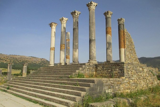 Day Trip to Volubilis and Meknes From Fez - Total Review Count and Popularity