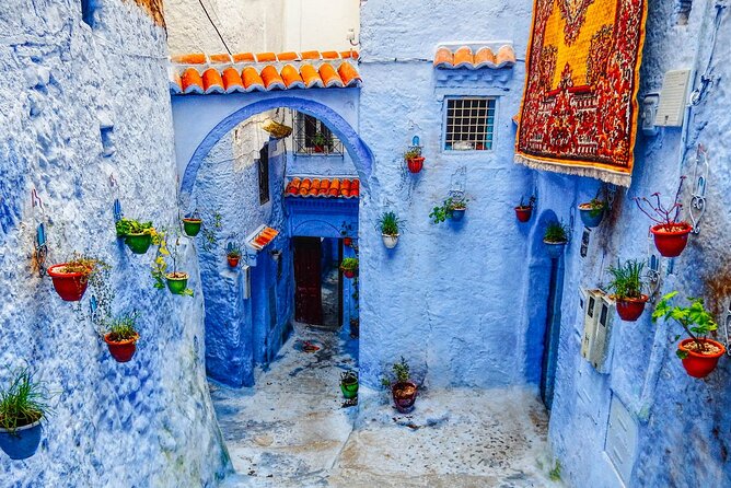 Day Trip Transport From Fes to Chefchaouen (The Blue City) - Reviews and Ratings Overview