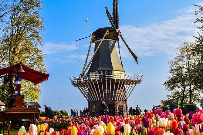 Delft and Keukenhof Gardens Tour From Brussels - Visitor Experience Insights