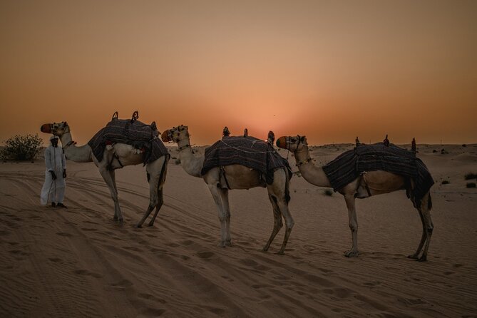 Deluxe Sunset Desert Safari: Sandsurfing, Camel Ride & BBQ Dinner - Recommendations and Restrictions