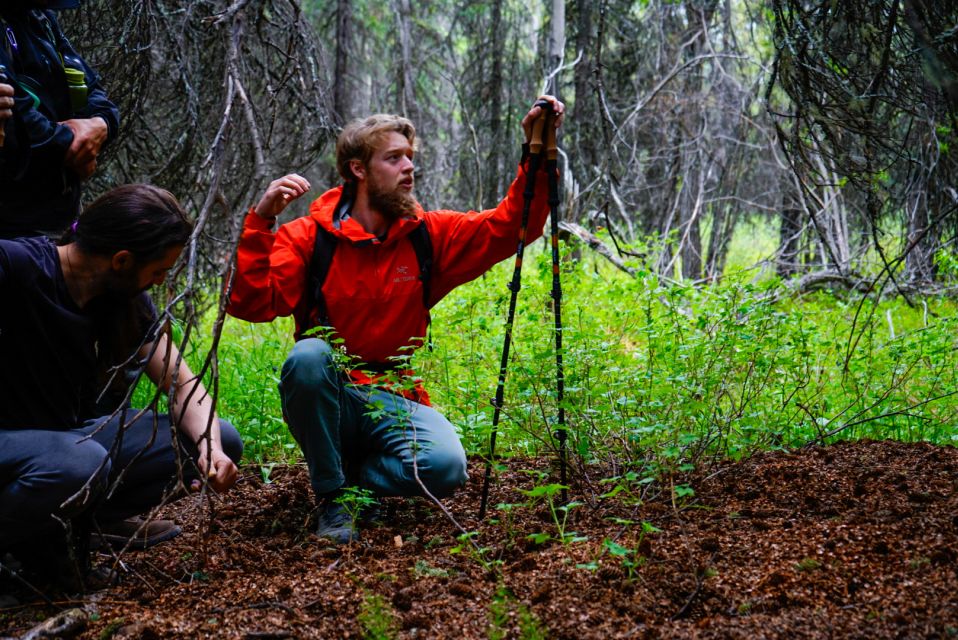 Denali: Naturalist Walking Tour in Denali National Park - Activity Duration and Cancellation Policy