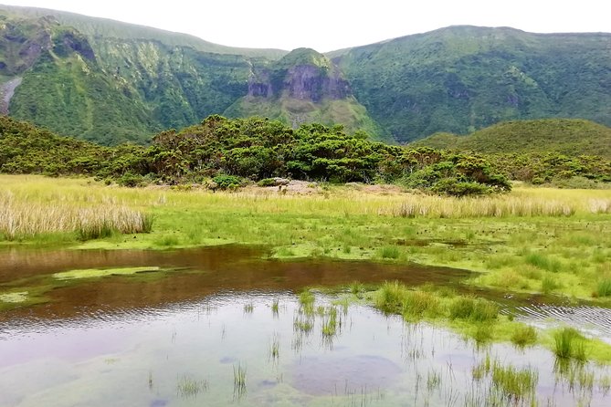 Descent to Caldeira Do Faial - the Perfect Adventure - Traveler Reviews