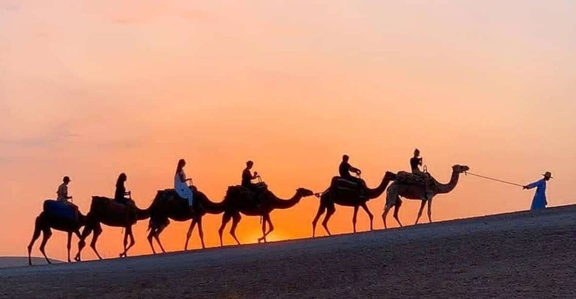 Desert Agafay Dinner at Nomad Camp and Camel Ride - Experience Details