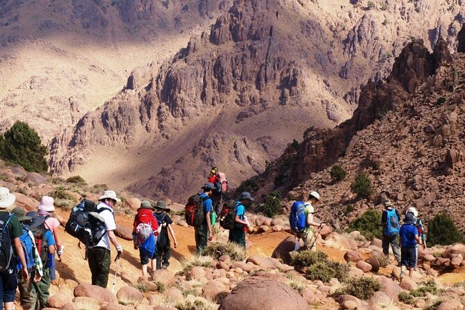 Desert, Atlas Mountains and Berber Villages Day Trip From Marrakech - Experience in Berber Villages