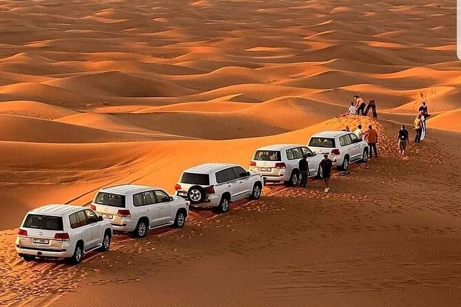 Desert Safari With BBQ Dinner, Camel Ride, Sand Boarding In Dubai - Itinerary Overview