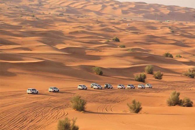 Desert Safari With BBQ Dinner, Quad Bike & Camel Ride From Dubai - Desert Safari Experience