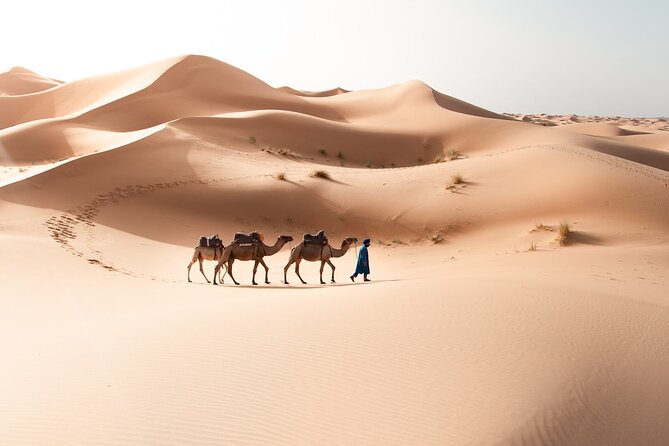 Desert Tour From Marrakech - Customer Reviews