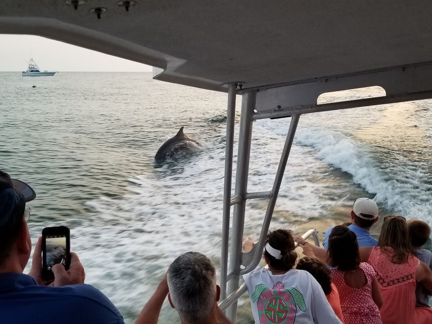 Destin: Dolphin Watch Cruise - Experience Highlights