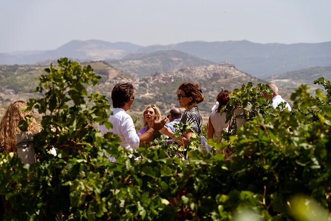 Di Giovanna Winery Tour & 3 Wine Tasting - Booking Information