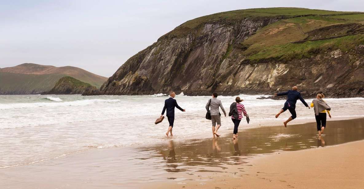 Dingle Day Tour From Limerick - Activity Details