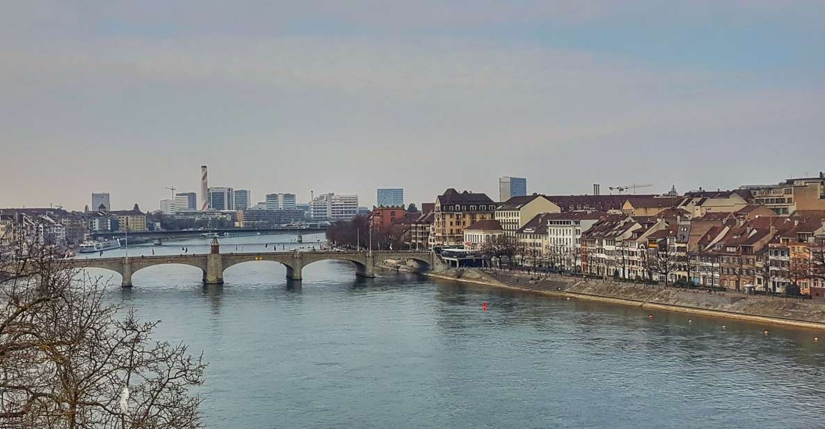 Discover Basel's Charm: Exclusive Private Walking Tour - Accessibility and Convenience Details