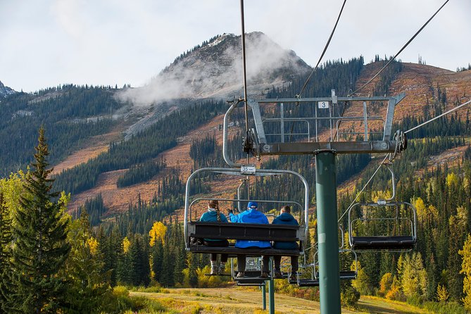 Discover Grizzly Bears From Banff - Scenic Stops and Wildlife Sightings