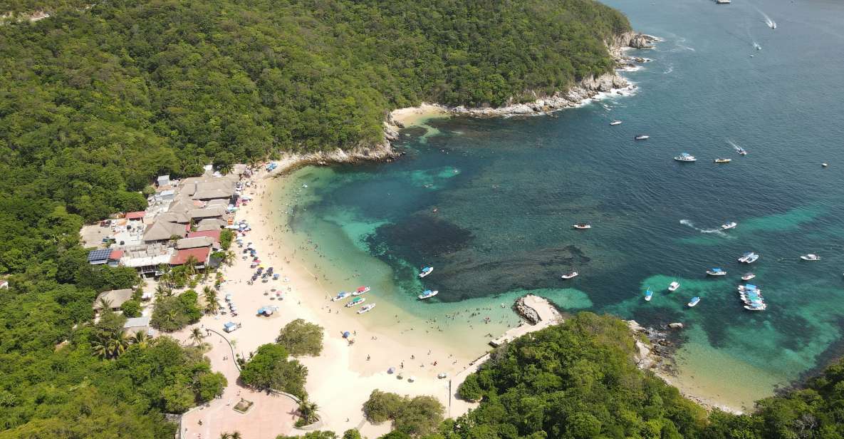 Discover Huatulco: Beach, Flavors, and More - Feedback and Reviews